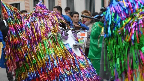 carnaval toro 2025_91