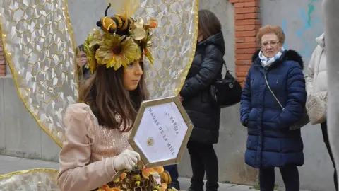 carnaval toro 2025_98