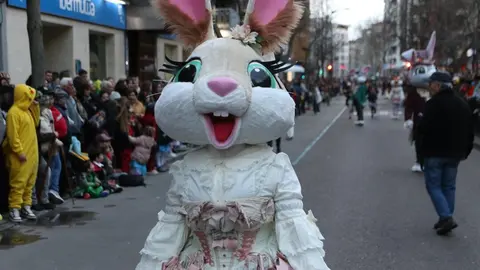 carnaval de zamora