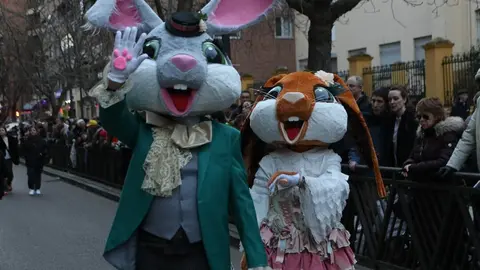 carnaval de zamora