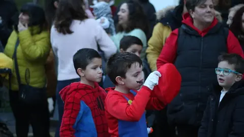 carnaval de zamora