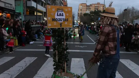 carnaval de zamora