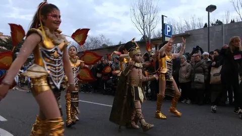 carnaval de zamora