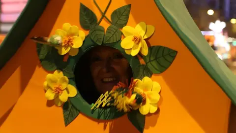 carnaval de zamora