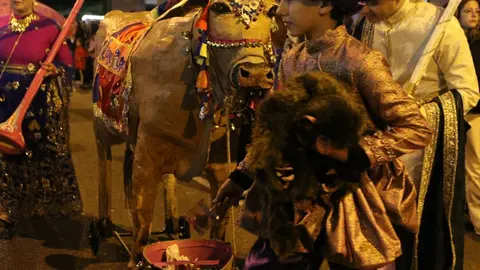carnaval de zamora