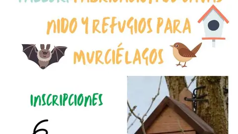 Taller Renaturaliza Murcielagos