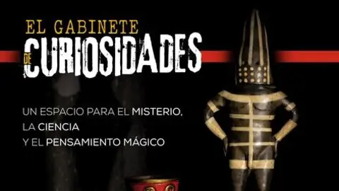 'Gabinete de Curiosidades' de Paco González