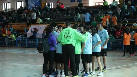 Balonmano Adaptado