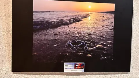Concurso de Fotografía de la Tercera Caída