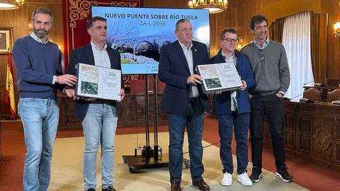 Puente Hermisende Proyecto