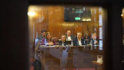 GRUPO SOCIALISTA DIPUTACIÓN DE ZAMORA