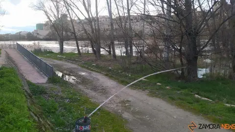 Crecida del Río Duero Zamora_6