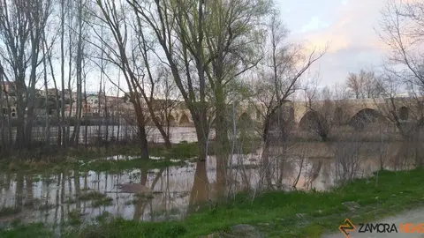 Crecida del Río Duero Zamora_7