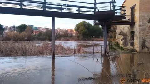 Crecida del Río Duero Zamora_14