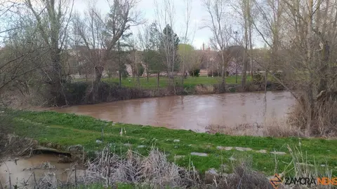 Crecida del Río Duero Zamora_17