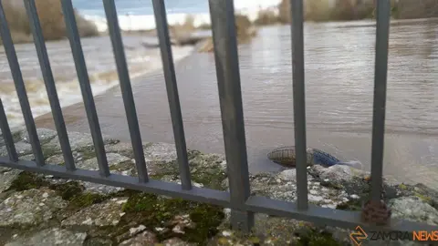 Crecida del Río Duero Zamora_22