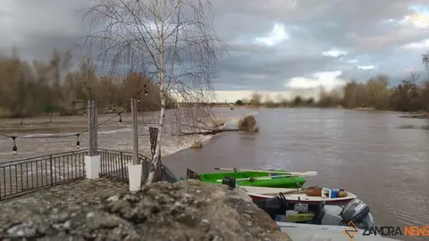 Crecida del Río Duero Zamora_25