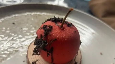 catas museo aceite jonatan_10