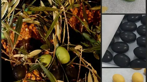 catas museo aceite jonatan_7