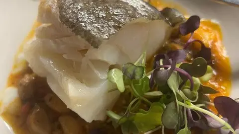 catas museo aceite jonatan_11