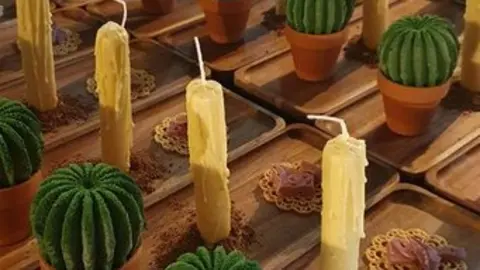 catas museo aceite jonatan_18