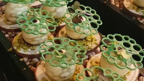 catas museo aceite jonatan_13