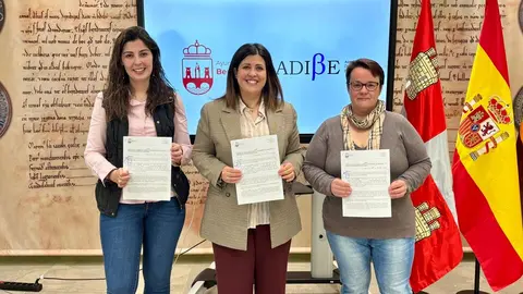 Adibe y Ayto Benavente