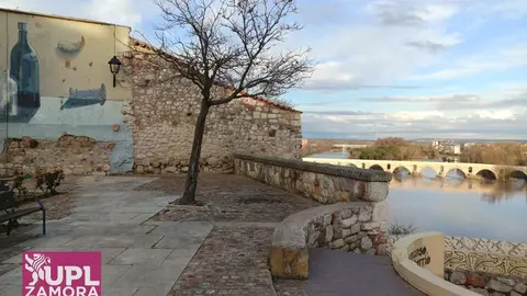 mirador del troncoso upl