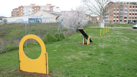 Juegos Caninos Pinilla