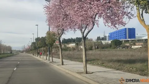 d&iacute;a parcialmente soleado en Zamora_2