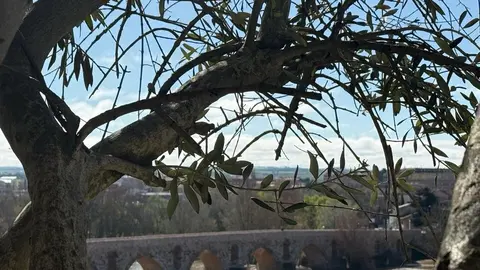 Día soleado en zamora
