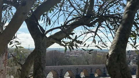 Día soleado en zamora_4