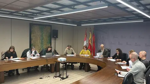 Comisión Patrimonio marzo