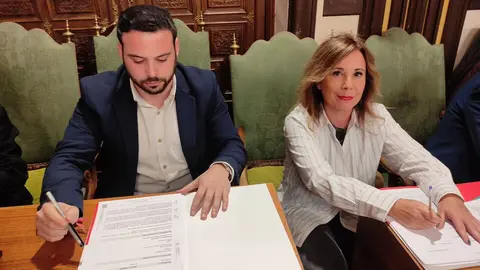 Pleno Ayuntamiento (Febrero 2025)