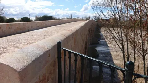 Puente de piedra_4
