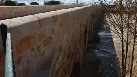 Puente de piedra_5