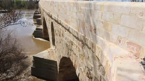 Puente de piedra_6