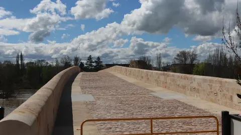 Puente de piedra_11
