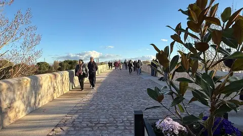 Puente de Piedra _4