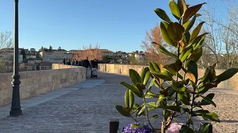Puente de Piedra _12