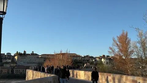 Puente de Piedra _13