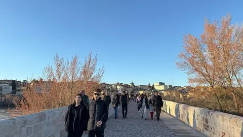 Puente de Piedra _15