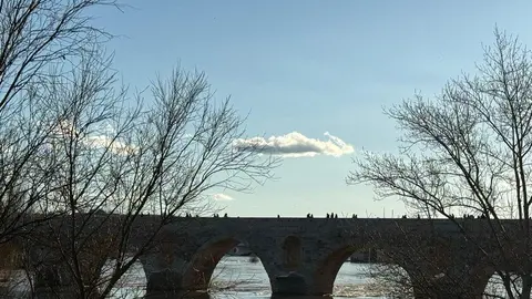 Puente de Piedra _24