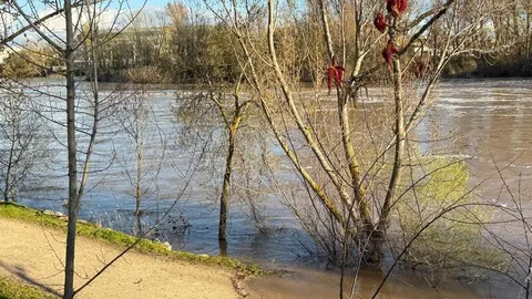 El Duero a su paso por Zamora _2