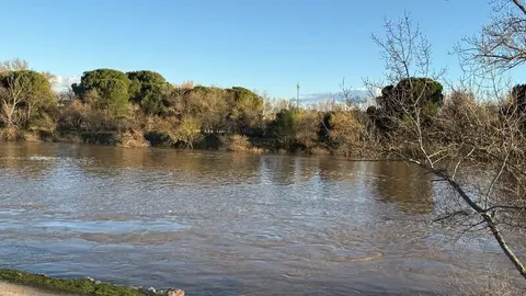 El Duero a su paso por Zamora _6