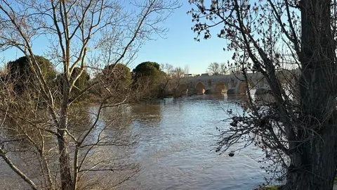 El Duero a su paso por Zamora _7
