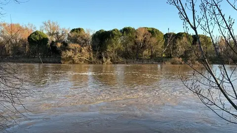 El Duero a su paso por Zamora _8