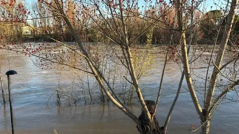 El Duero a su paso por Zamora _9