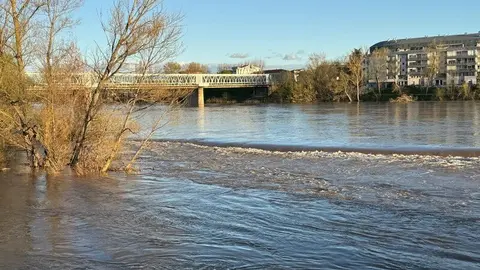 El Duero a su paso por Zamora _13