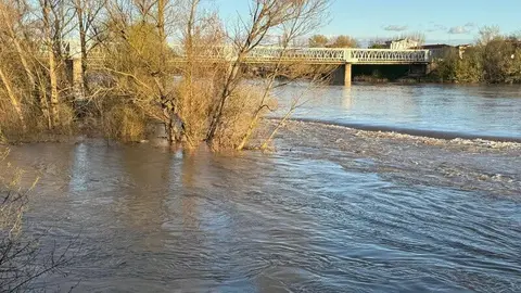 El Duero a su paso por Zamora _14